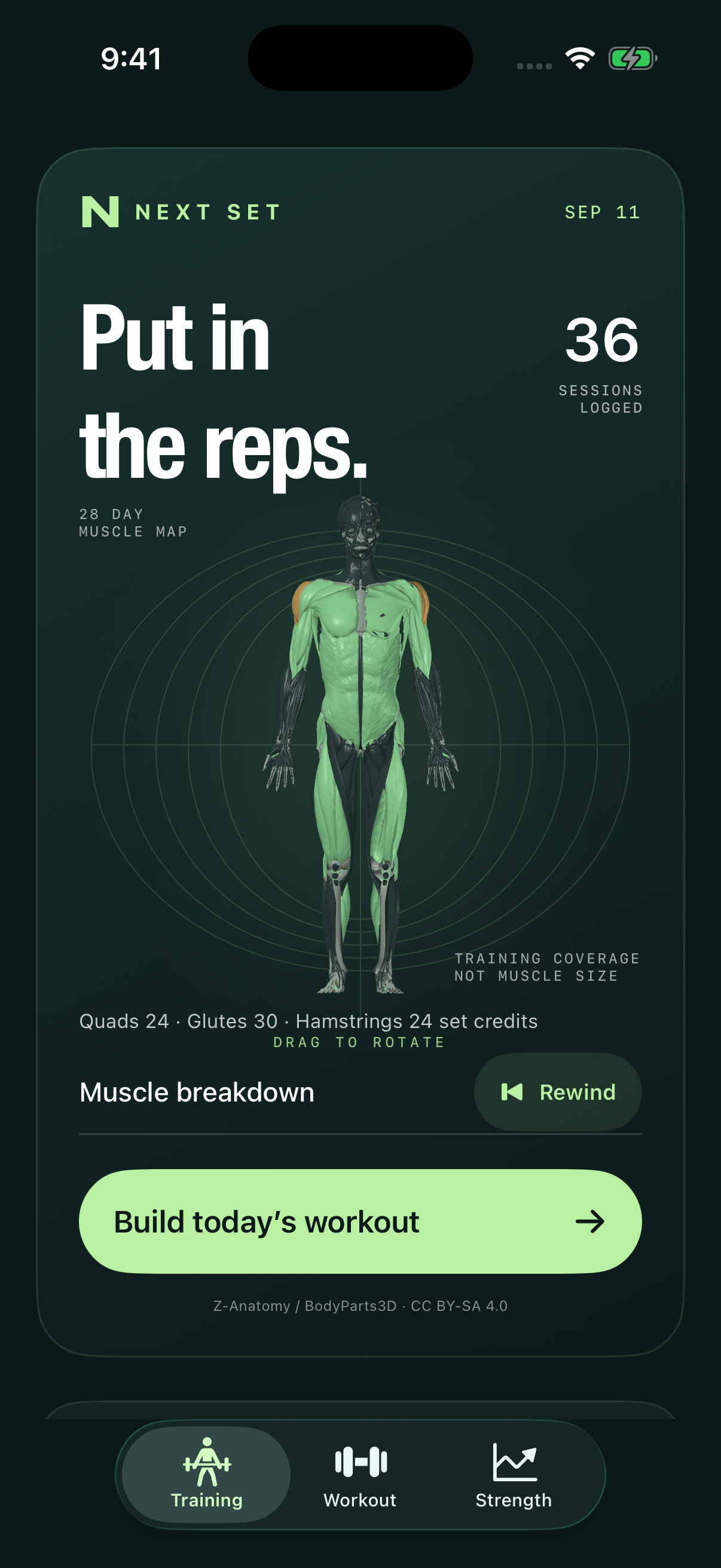 RepScript training dashboard with a three-dimensional muscle map and a button to build today’s workout.